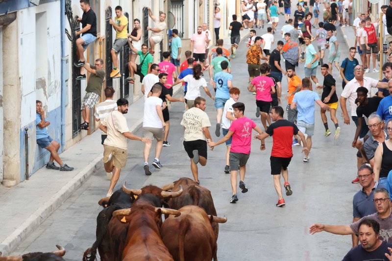 Els Coves s’enduu tots els premis del Concurs de Ramaderies de les Festes de Pedreguer Els Coves s’enduu tots els premis del Concurs de Ramaderies de les Festes de Pedreguer